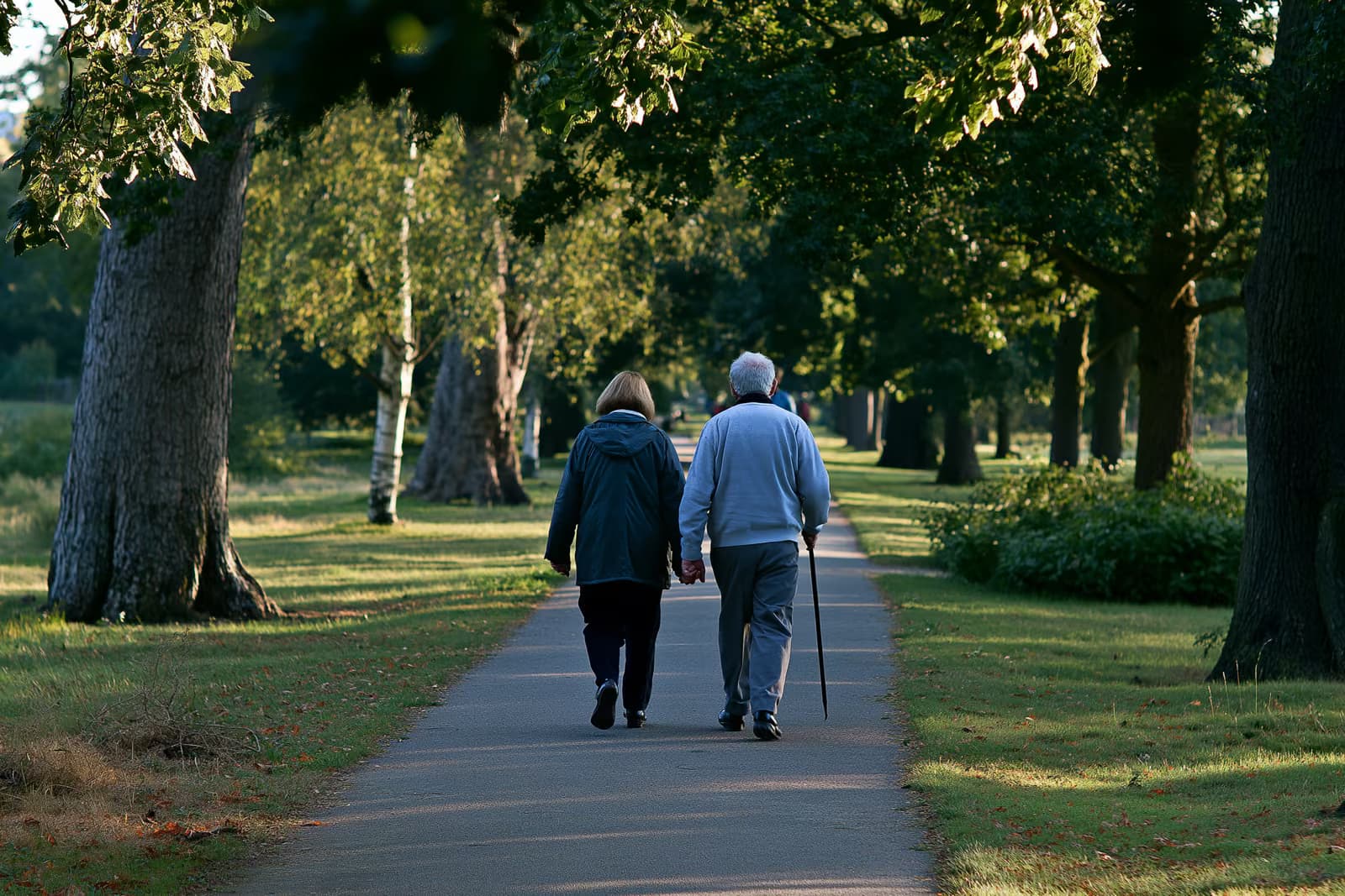 Um casal de idosos caminhando junto por um parque ensolarado, visto de costas.